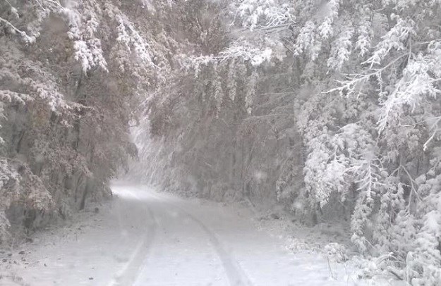 FOTO Prvi snijeg zabijelio Nacionalni park Sjeverni Velebit