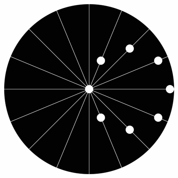 GIF koji izluđuje: Kreću li se točkice ravno ili kružno?