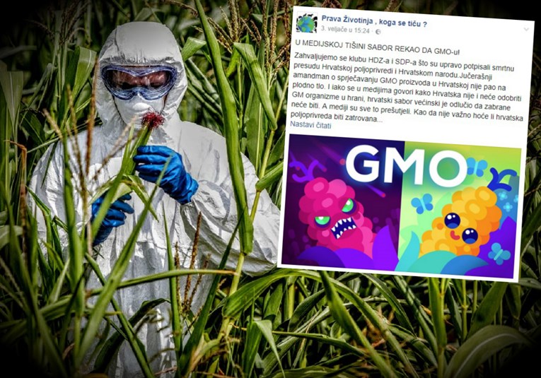 Na Fejsu se širi histerija o GMO-u u Hrvatskoj. Ne vjerujte glupostima, evo o čemu se radi
