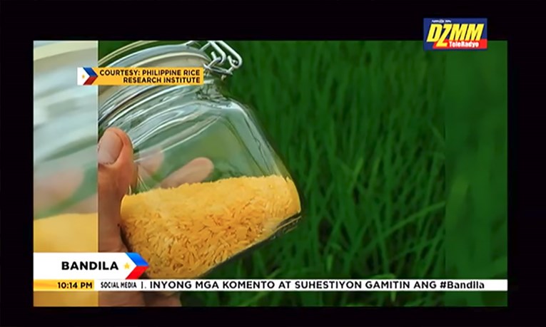 Anti-GMO ekipa želi spriječiti uzgoj zlatne riže koja milijune djece spašava sljepoće i smrti