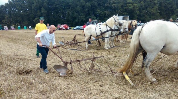 Maras se na Facebooku hvali da je orao zemlju metalnim plugom