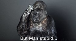 Gorila Koko misli da su ljudi glupi! Zašto? Jer ubijaju planet na kojem žive