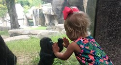 Svi lajkaju fotku gorile i djevojčice: Nažalost, priča ima i tamnu stranu!