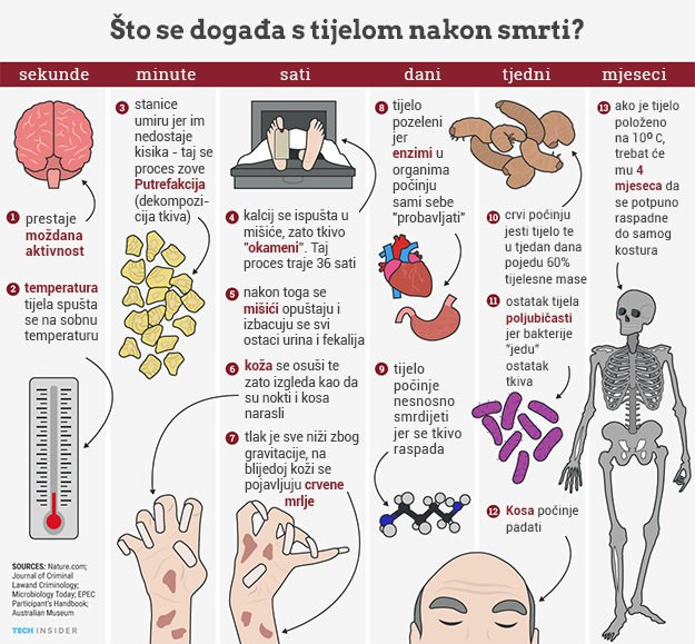 Evo što se zaista događa s tijelom nakon smrti