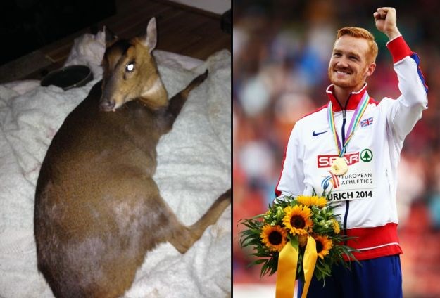 Olimpijac pokušao spasiti ozlijeđenu srnu, nosio je na leđima tri kilometra