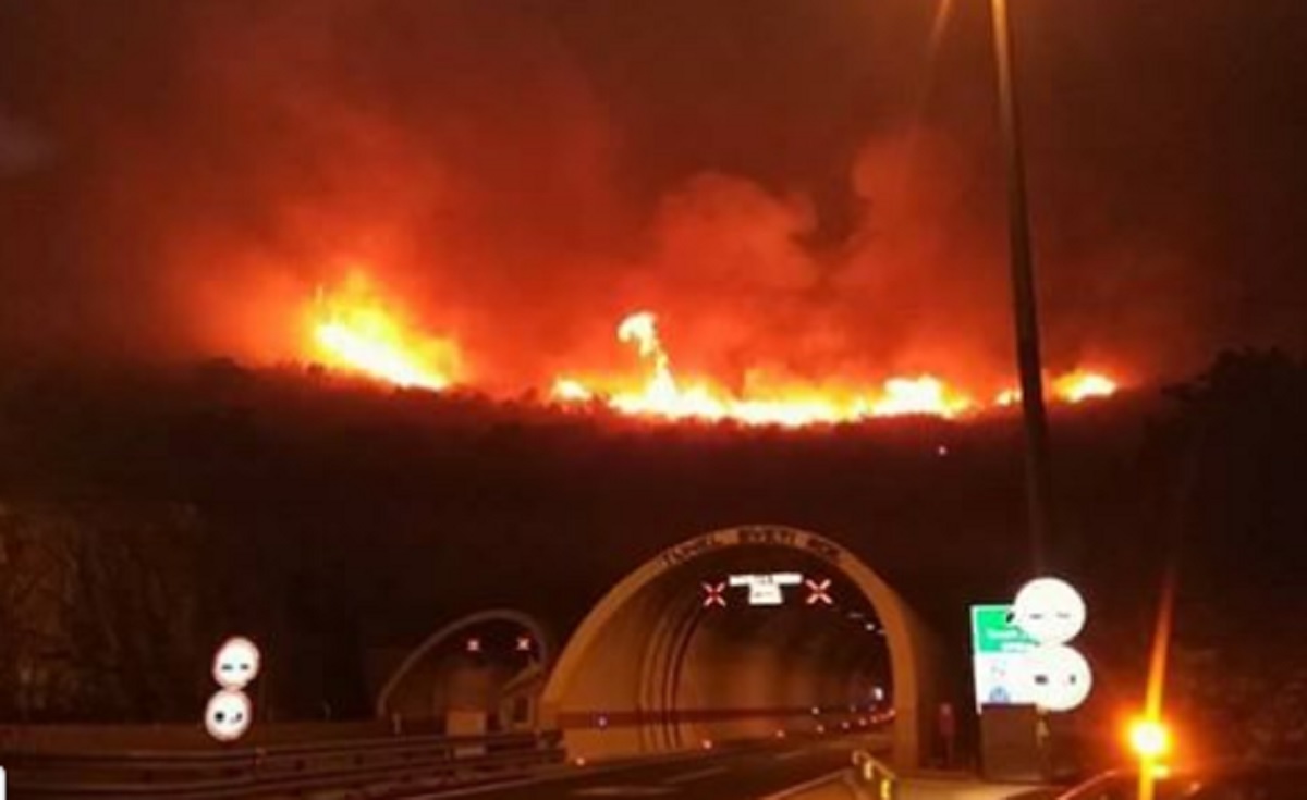 FOTO Strašan prizor nad Svetim Rokom - pogledajte kako je vatra gutala sve pred sobom