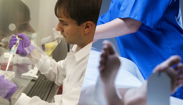 Svinjska gripa hara Hrvatskom, raste broj mrtvih: Dosad umrlo pet osoba