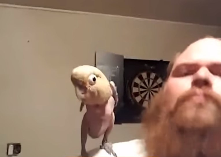 VIDEO Ovaj je čovjek spasio papagaja iz neljudskih uvjeta, a on svoju sreću iskazuje plesom