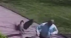VIDEO "Opaka" guska napala policajca na ulici, internet se ne može prestati smijati