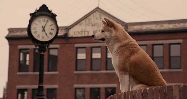 Odlučili ste: Najbolji pseći film je "Hachiko: Priča o psu!"