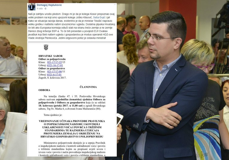 SDP-ov Hajduković: Jedini ispravan potez je Tolušićeva ostavka