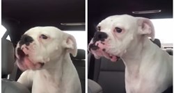 VIDEO Ovaj pas nikako nije htio otići iz parka, a smiješni zvukovi koje ispušta sve govore