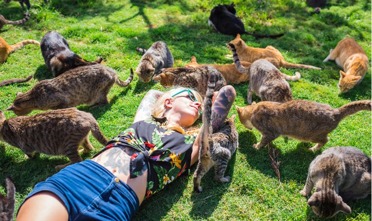 FOTO Raj na zemlji - Posjetili su "mačji otok" i mazili se s 500 mačaka