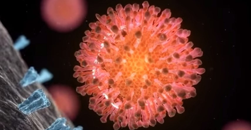 Prvi put u povijesti virus hepatitisa C uočen elektronskim mikroskopom
