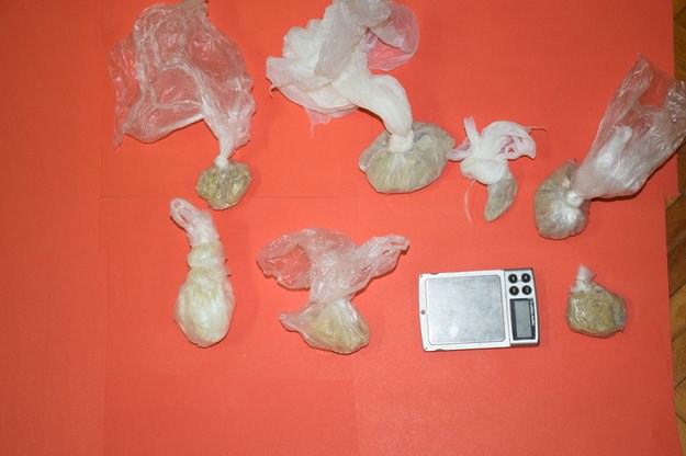 Ulov kod Dubrovnika: Na granici zaplijenjeno 7,5 kilograma heroina