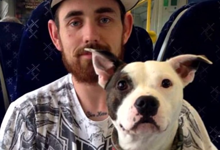 VIDEO Udomljeni pas totalno je poludio nakon što je ponovno ugledao svog vlasnika