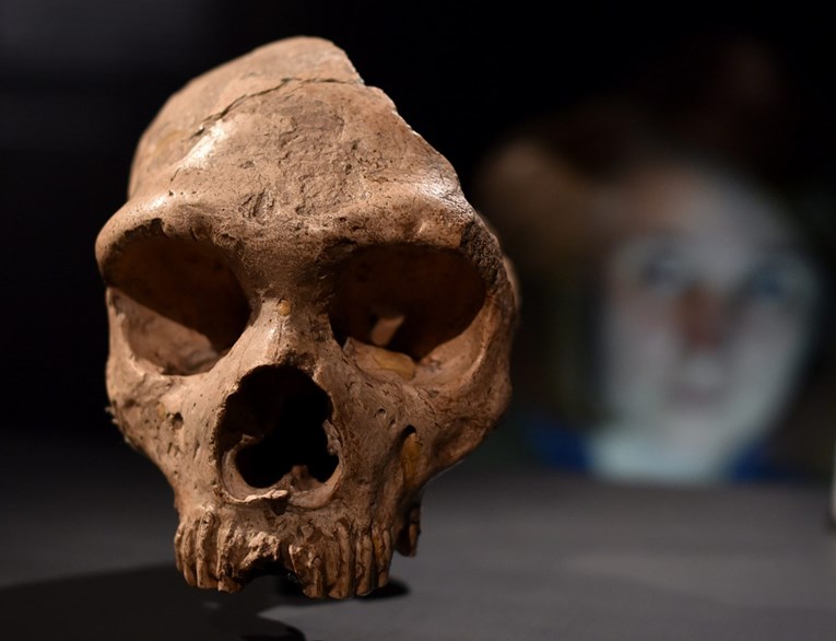 Neandertalci prije 50,000 godina koristili "aspirin" i "penicilin"