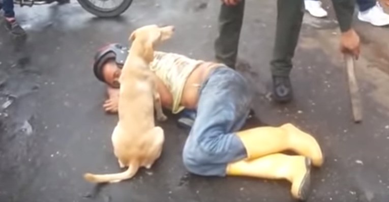Čovjek se onesvijestio od alkohola, a njegov ga je pas štitio od prolaznika koji su ga htjeli probuditi