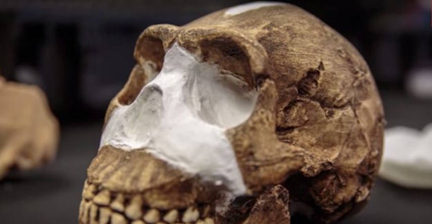 Senzacionalno otkriće: Pronađeni ostaci nepoznatog ljudskog pretka