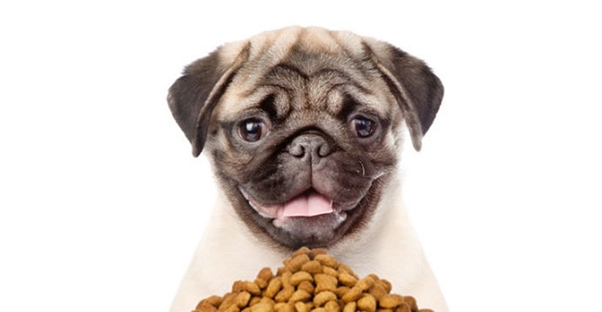 Koristan servis za vlasnike: Provjerite što se nalazi u hrani koju jede vaš pas