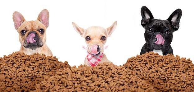 Hrana za pse: Otkrivamo što proizvođači ne žele da znate!