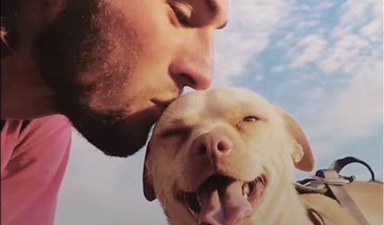 VIDEO Ovaj je pas hrabriji od većina ljudi, a njegove avanture pravi su dokaz za to