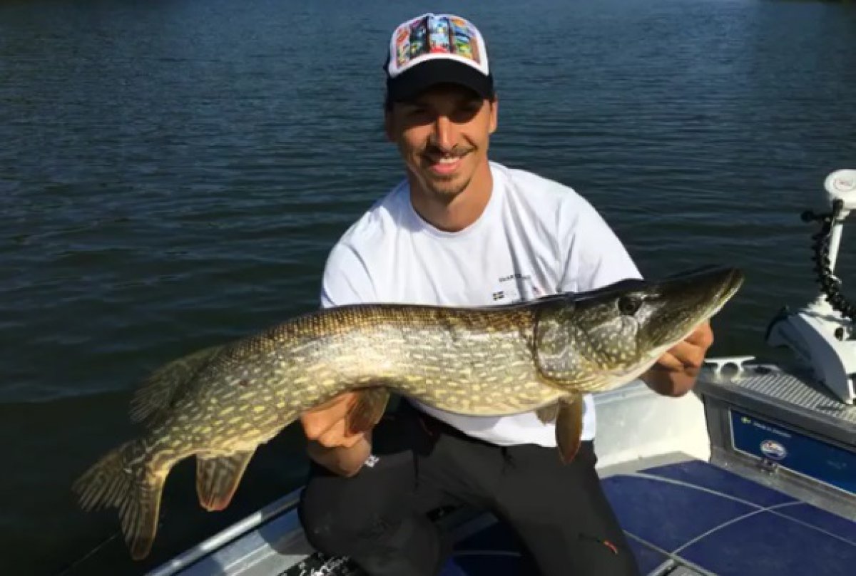 Najpopularniji borci svijeta najavili borbu stoljeća, Zlatan im spustio