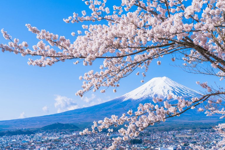 Rouge preporuka za vikend: Ikigai, japanska tajna dugog i sretnog života