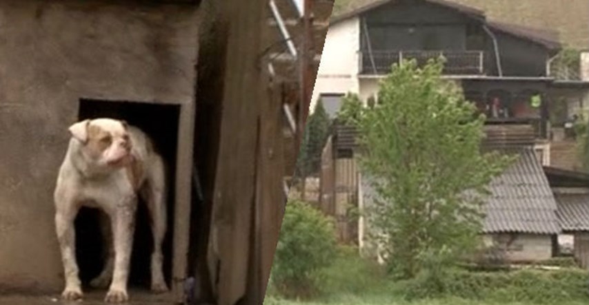 Strašno: U ilegalnom azilu u Zagorju na desetine borbenih pasa, izgladnjeli jedu jedni druge