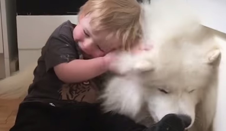 VIDEO Maleni dječak i njegov najbolji dlakavi prijatelj podsjetit će vas zašto je život lijep