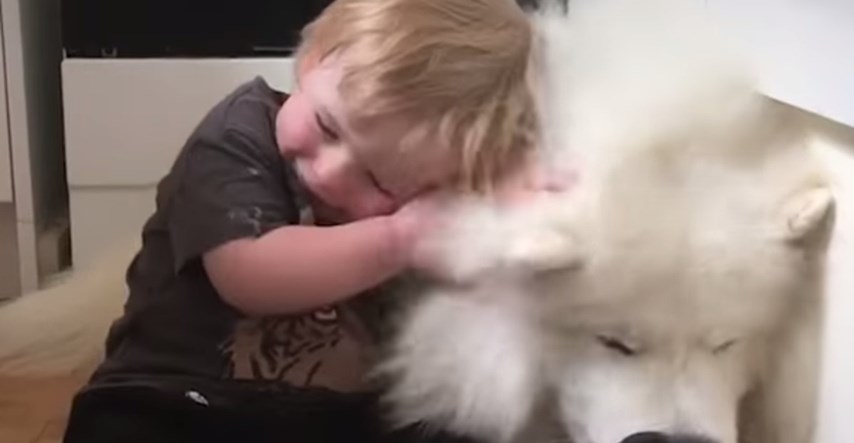VIDEO Maleni dječak i njegov najbolji dlakavi prijatelj podsjetit će vas zašto je život lijep