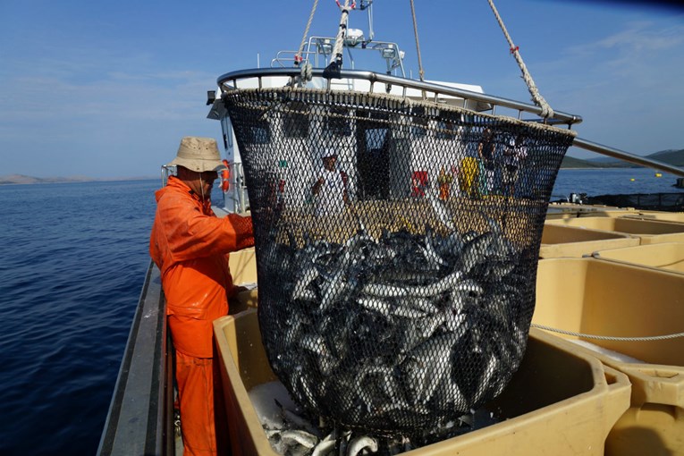 Europski parlament glasao o novim pravilima u ribolovu, Hrvatska izborila važan amandman