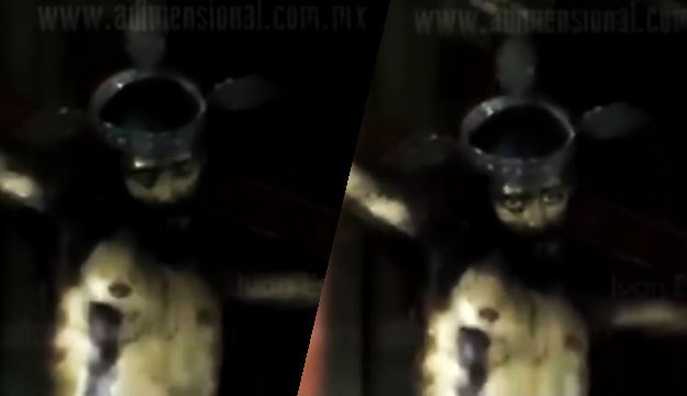 VIDEO Vjernici uvjereni da je Isus otvorio oči iznad oltara, svećenici ne vjeruju u to