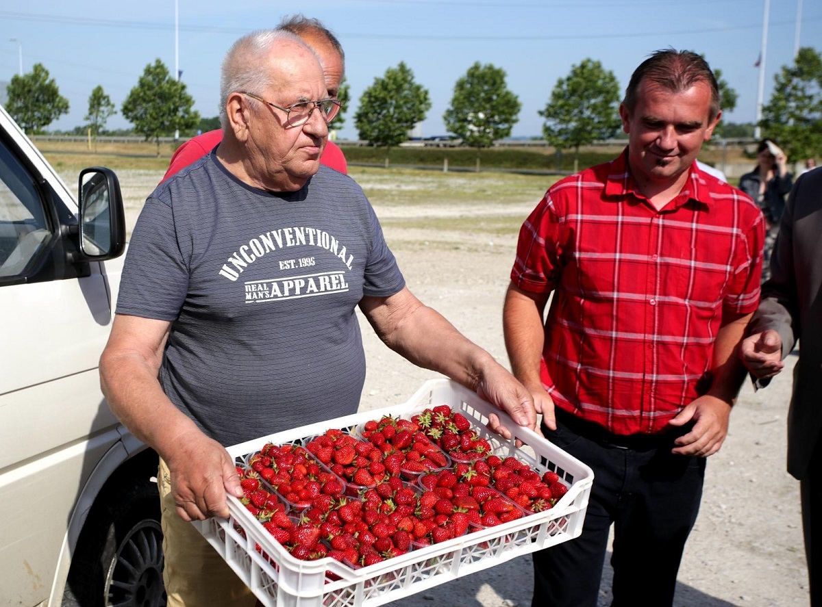 Živi zid otkupit će jagode od proizvođača i podijeliti ih građanima
