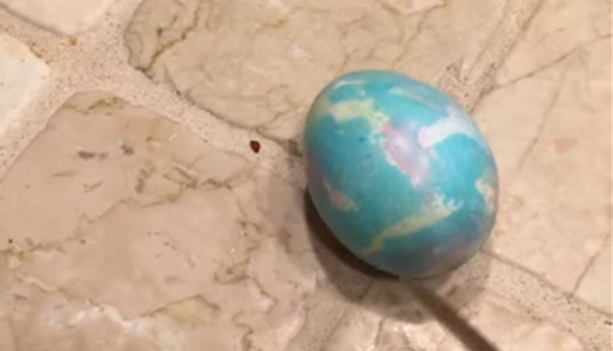 VIDEO Razbio pisanicu staru devet godina i odmah požalio