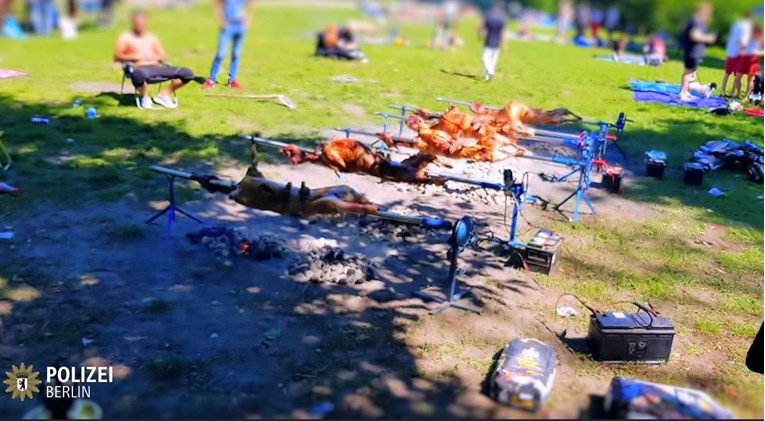 Bosanci u berlinskom parku okrenuli hrpu janjaca, došla policija, vatrogasci...