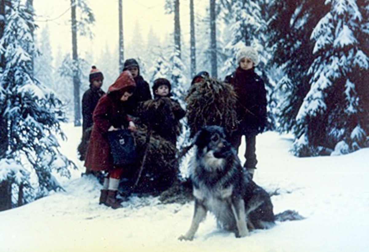 Vrijeme je za nostalgiju: Prije 37 godina cijela je Juga gledala seriju Jelenko