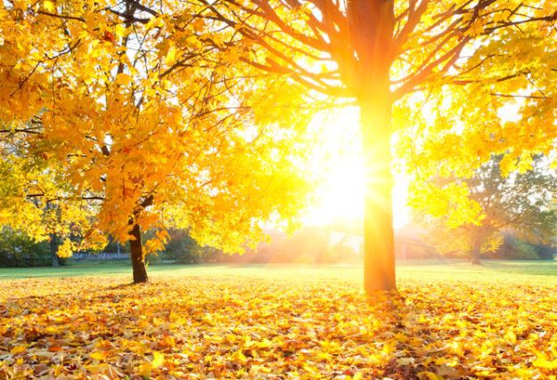 Temperature rastu, u petak do 15 stupnjeva