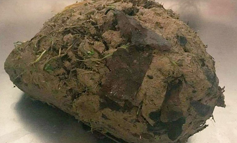 Spasioci pronašli životinju zarobljenu u blatu pa ubrzo saznali što se dogodilo