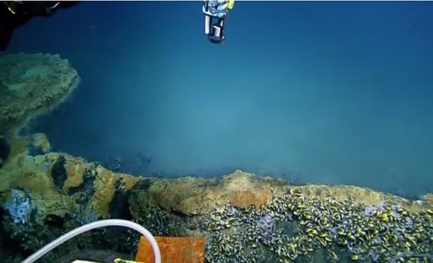 VIDEO U Meksičkom zaljevu postoji "jezero pod morem" - tko zapliva u njemu neće se vratiti živ