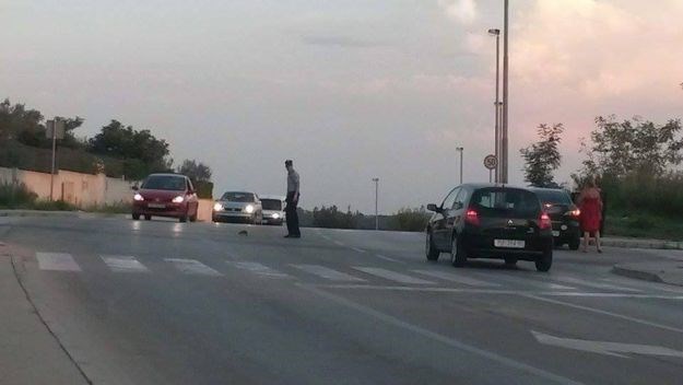 Svaka čast: Pulski policajac zaustavio promet da pomogne malom ježu
