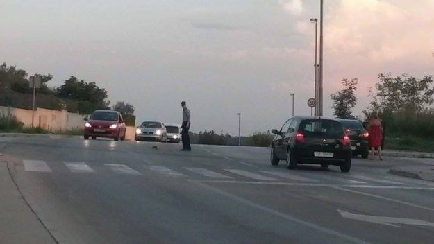 Policajac koji je pomogao ježu: Bio je uporan, vidio sam da nema druge nego zaustaviti promet