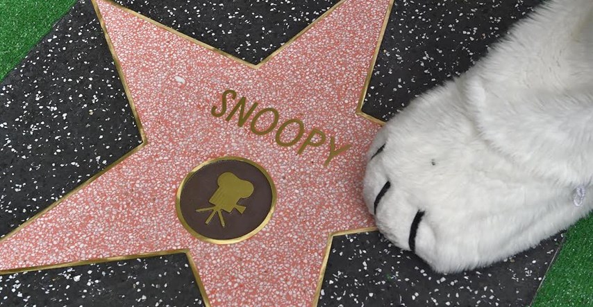Genijalni Snoopy dobio svoju Zvijezdu na Stazi slavnih - taman pred Kikiriki film!