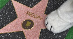 Genijalni Snoopy dobio svoju Zvijezdu na Stazi slavnih - taman pred Kikiriki film!