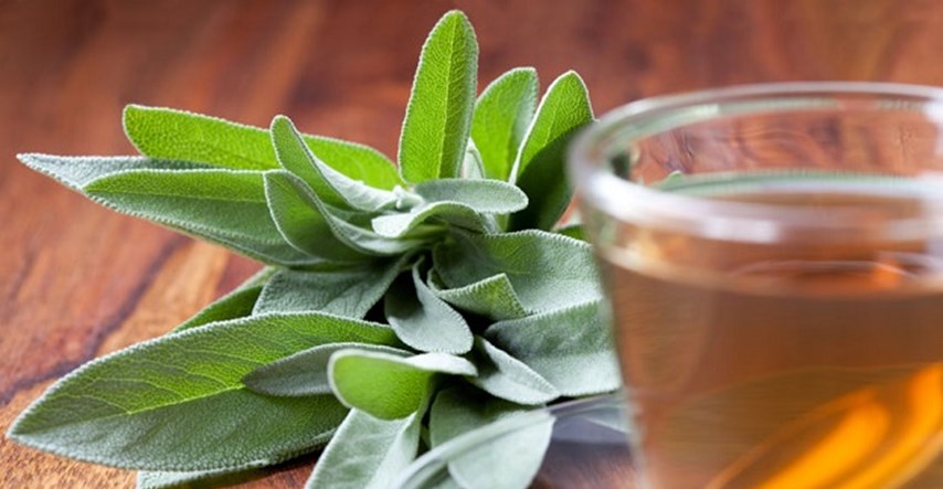 Čaj od kadulje - preventivna, ljekovita i regulatorna svojstva