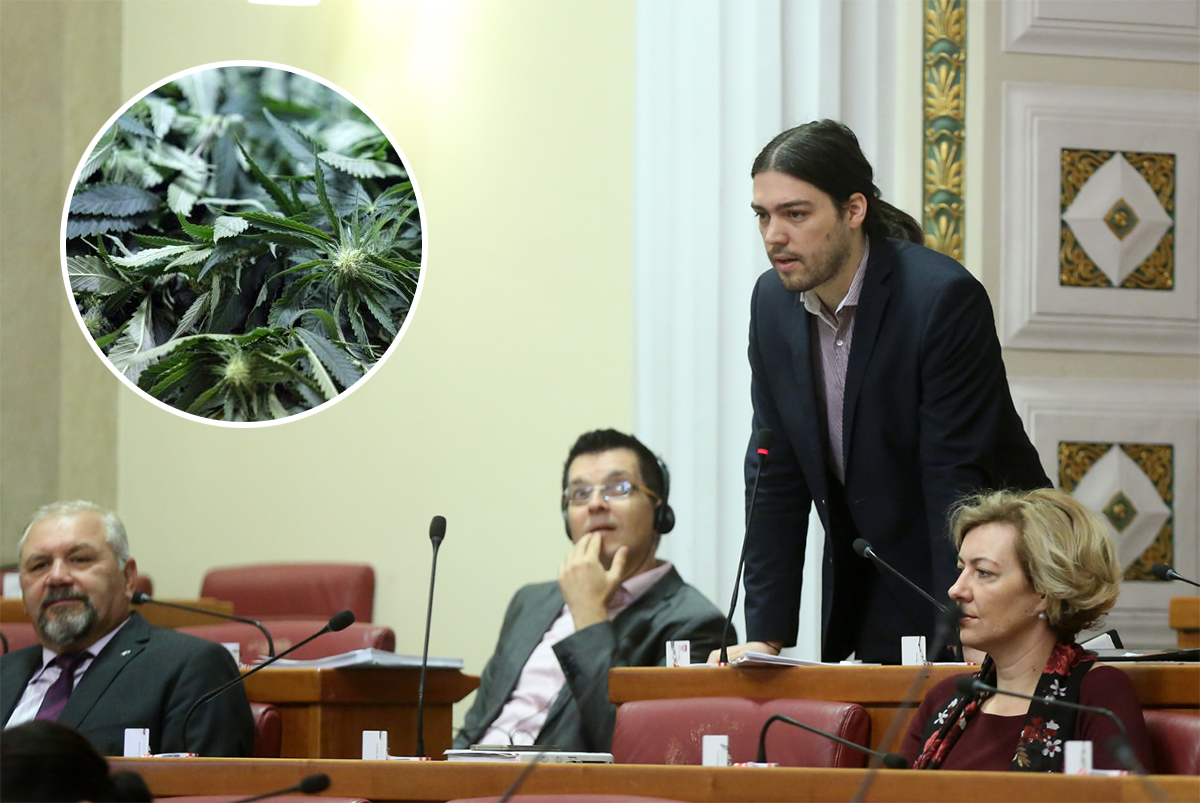 Živi zid predložio zakon o legalizaciji marihuane