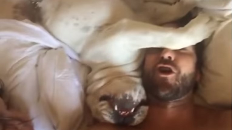 Ovaj pas proizvodi čudne zvukove kada se budi i to je nasmijalo cijeli svijet