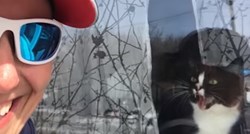 VIDEO Ova maca svakodnevno napada poštaricu i to izgleda urnebesno