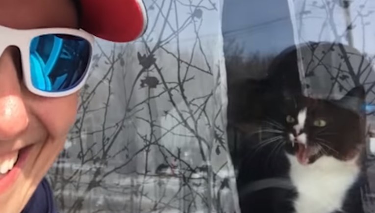 VIDEO Ova maca svakodnevno napada poštaricu i to izgleda urnebesno