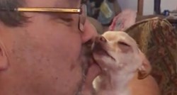 VIDEO Ovaj psić obožava pusice više od ičega na svijetu